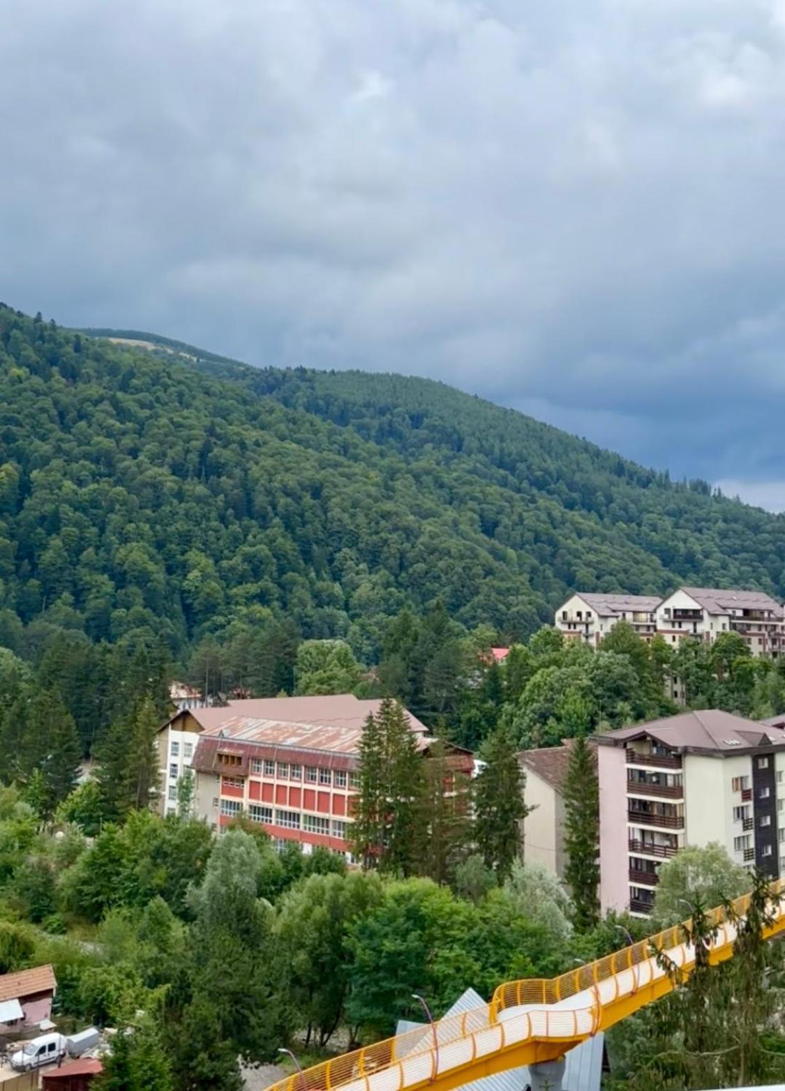Alpine Line Studio Sinaia Bagian luar foto
